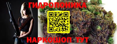 бошки Камышлов
