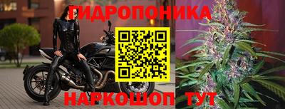 бошки Камышлов