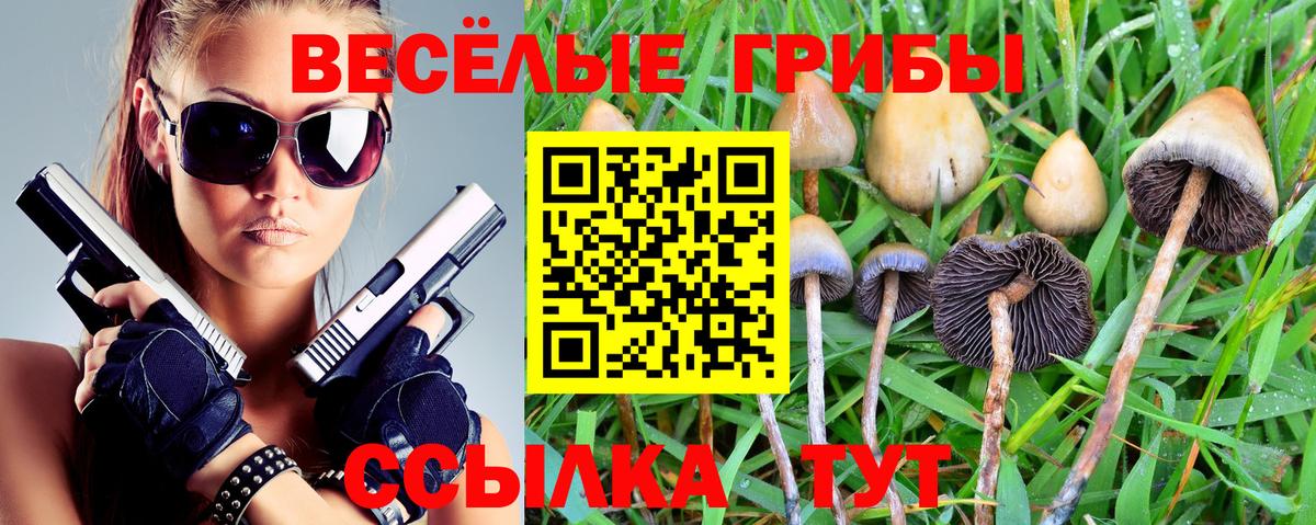Стерлитамак  Галлюциногенные грибы прущие грибы  Вход с VPN 